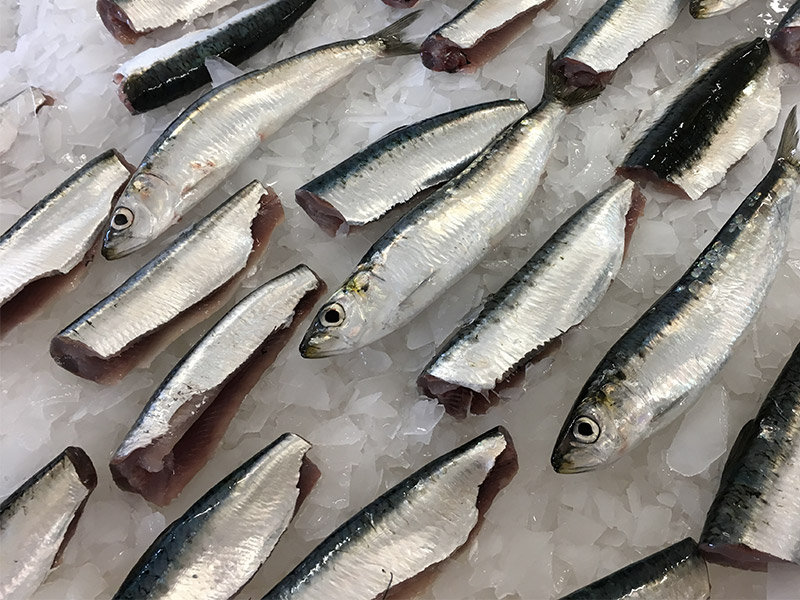 filet-sardine